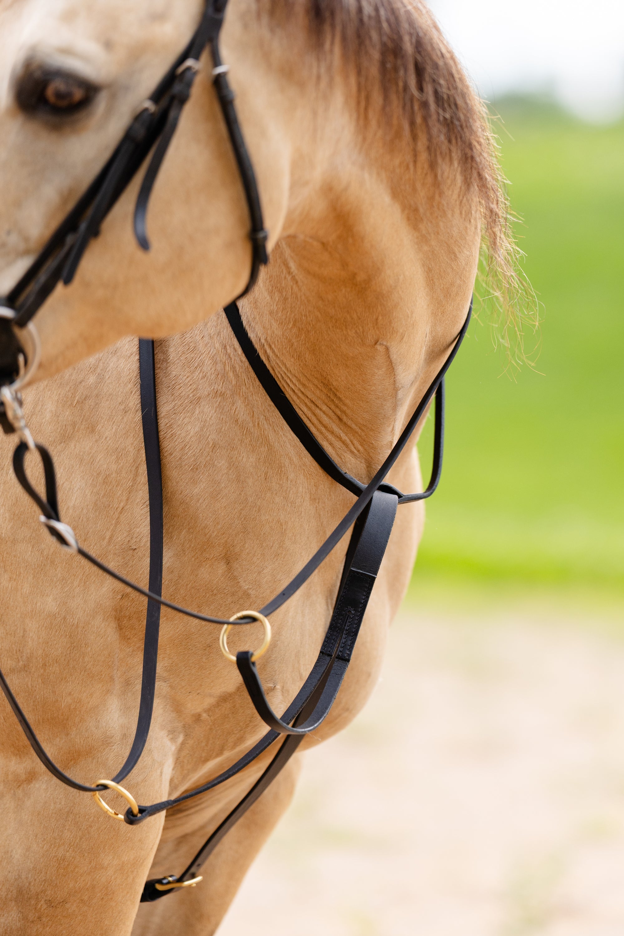 Martingale